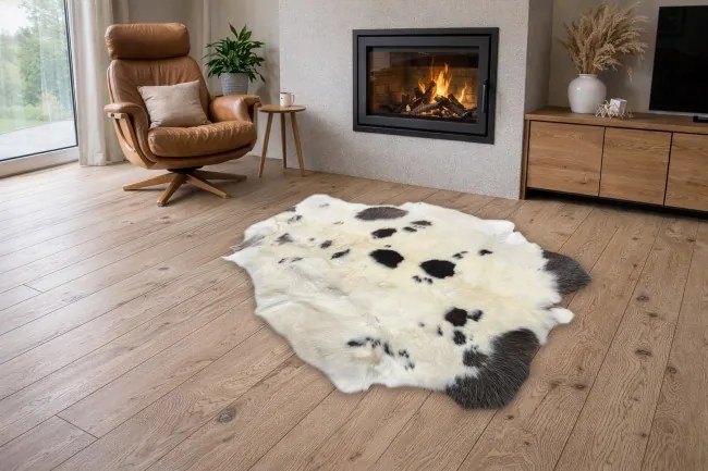 Koberec RENIFER POK007 krémový / sivý