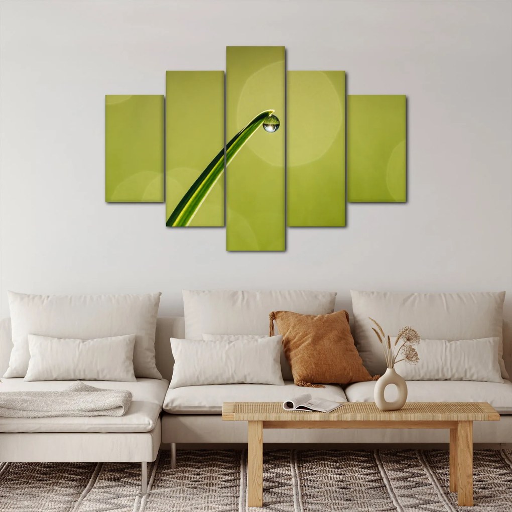 Obraz kvapky vody na tráve (150x105 cm)