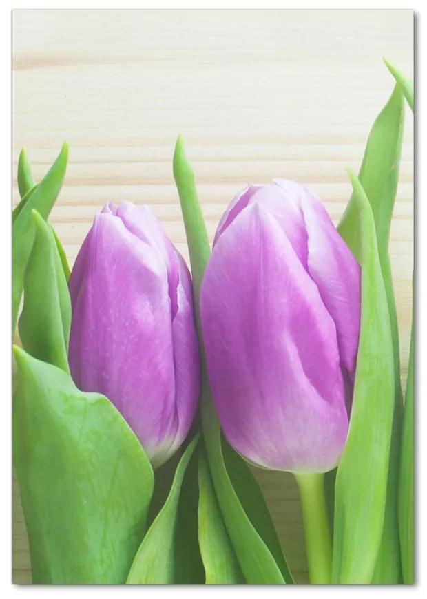 Foto obraz akrylový Fialové tulipány pl-oa-70x100-f-78755149
