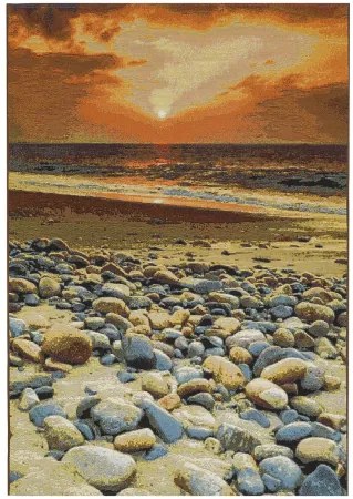 Koberce Breno Kusový koberec SUMMER 301/multi, viacfarebná,160 x 230 cm