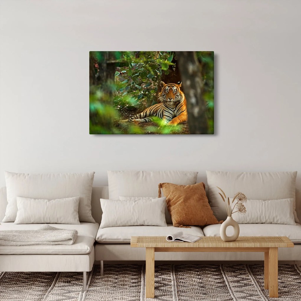 Obraz odpočívajúceho tigra (90x60 cm)