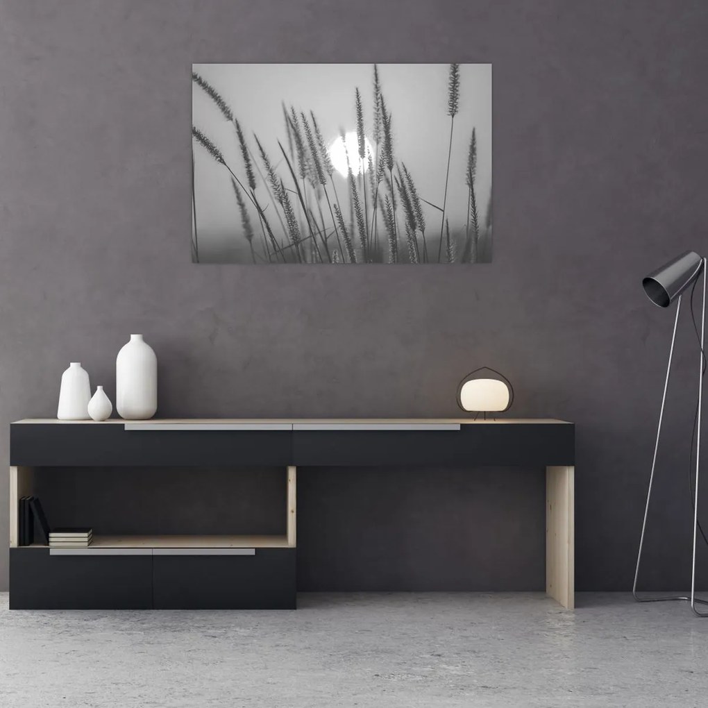 Obraz - Lúka pri západe slnka (90x60 cm)