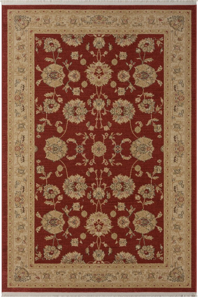 Kusový koberec Maryam 3 weinrot, 140x200, červená, chodba / predsieň, My Flair