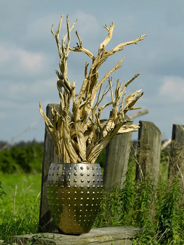 Laos Emperor Gold  64x80 cm