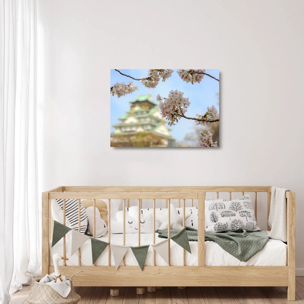 Sklenený obraz - Sakura (70x50 cm)