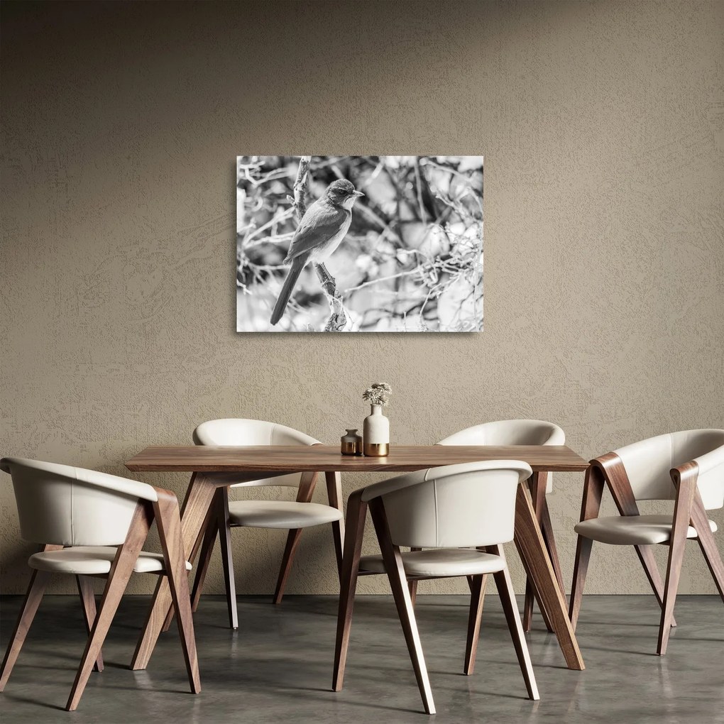 Sklenený obraz - Modrý vták v zime (70x50 cm)