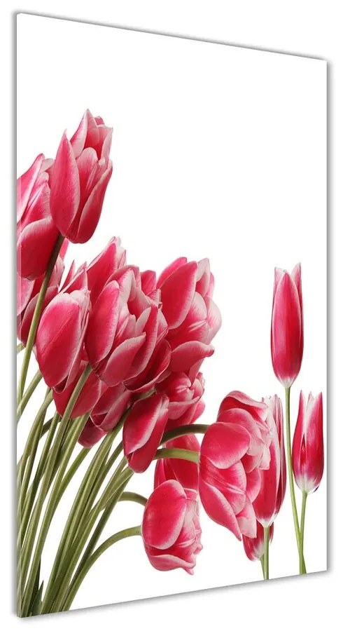 Foto obraz akrylový Červené tulipány pl-oa-70x140-f-109710799