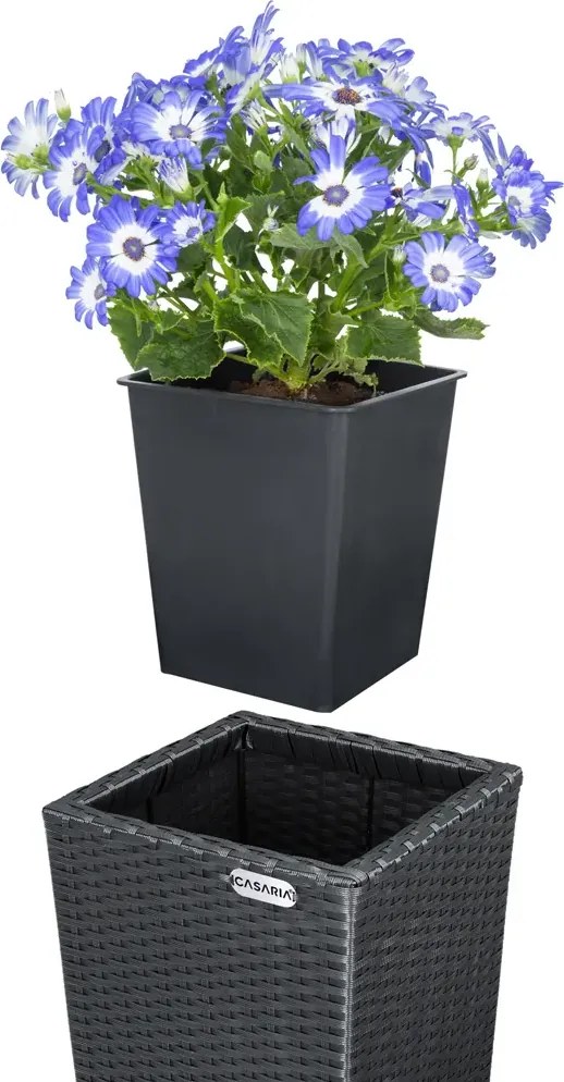 Sada 3 ks květináčů Dejo z polyratanu černá