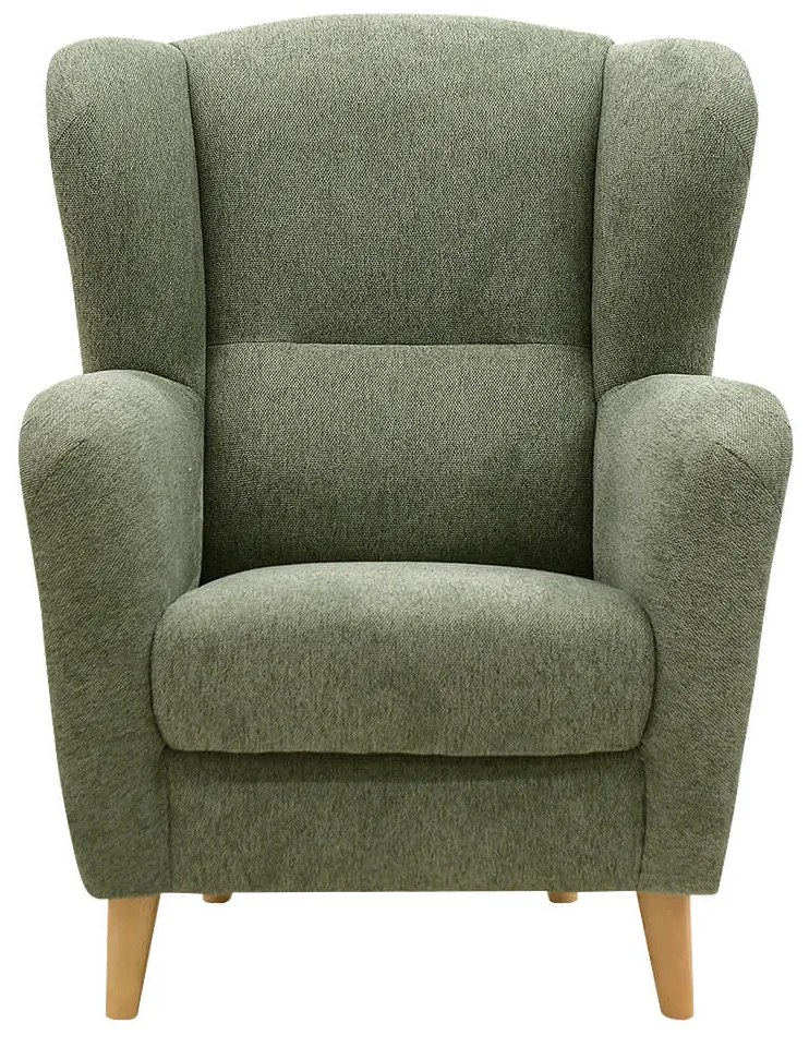 FINES zelené kreslo ušiak Aladin