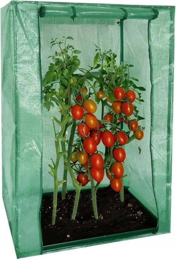 Mini záhradný fóliovník 100 x 50 x 150 cm – fóliovník na sadenice