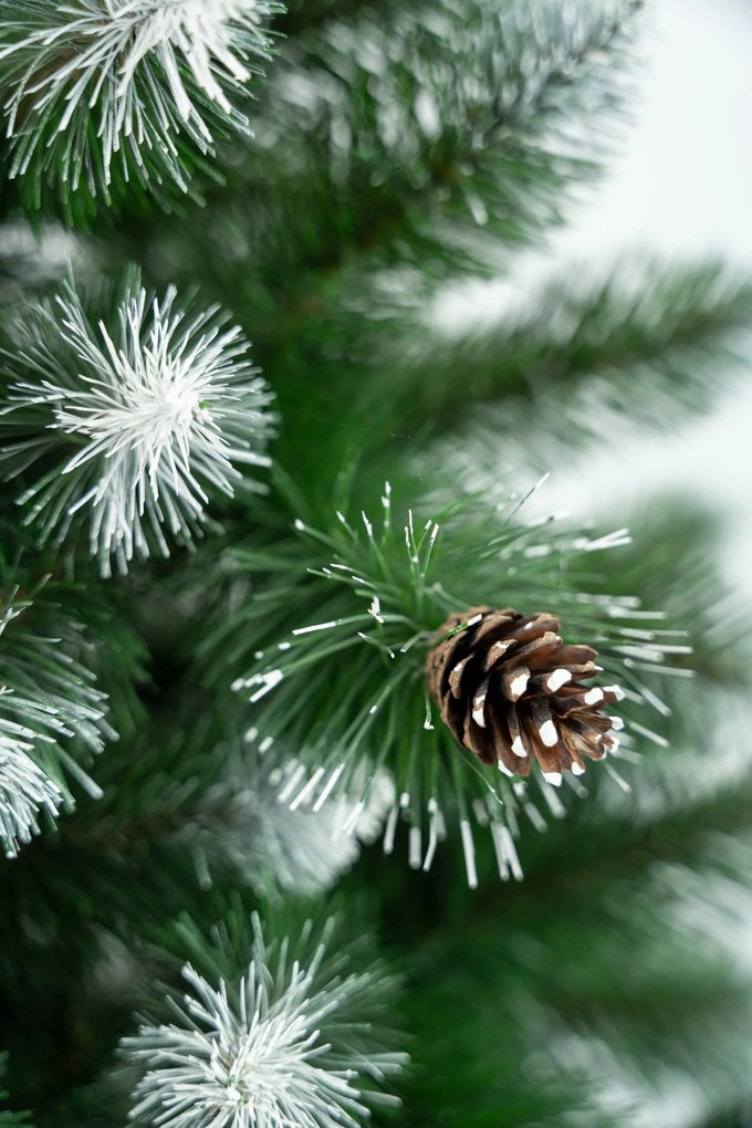 Limpol Vianočný stromček Borovica Verona biela Výška stromčeka: 240 cm