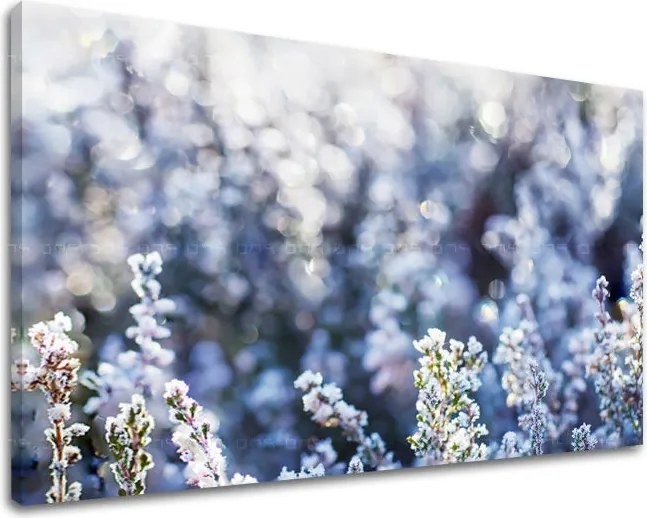 Obraz na stenu KVETY KV067E11 - 40x60 cm