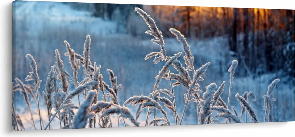 Obraz - Zimná lúka (120x50 cm)
