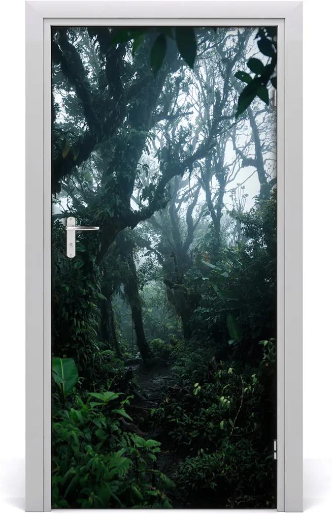 Fototapeta na dvere samolepiace  dažďový les