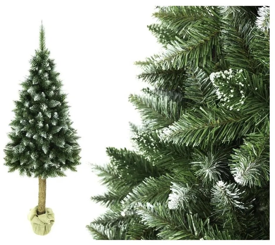 Vianočný stromček na kmeni 180 cm jedľa