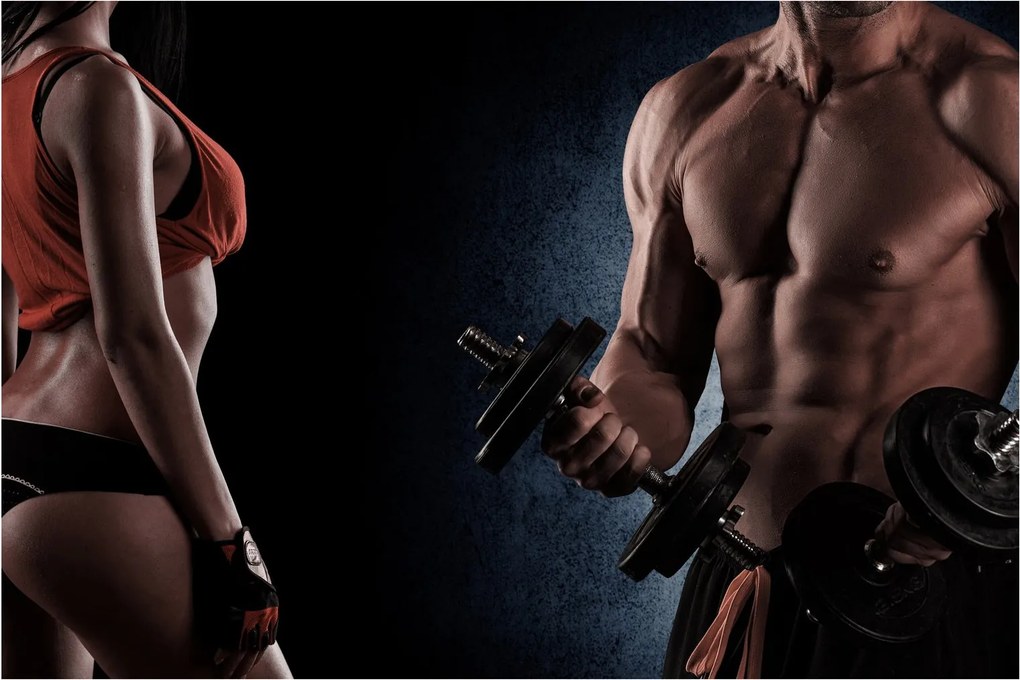 Obraz - Fitness (90x60 cm)