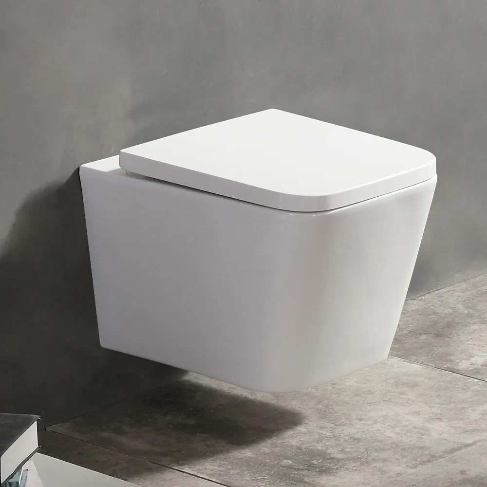 Lotosan LKW2216 GALAXY závesné WC PureRim + slim WC sedadlo 35 x 34,5 x 50,5 cm, biela