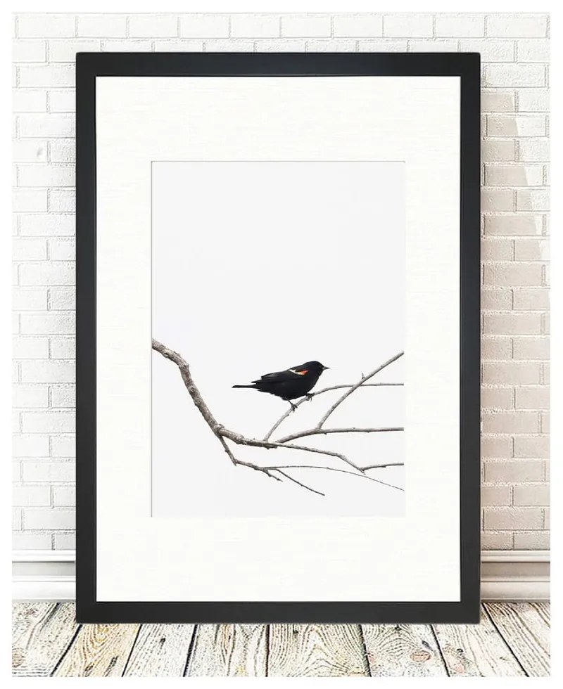 Obraz Tablo Center Birdy, 24 × 29 cm