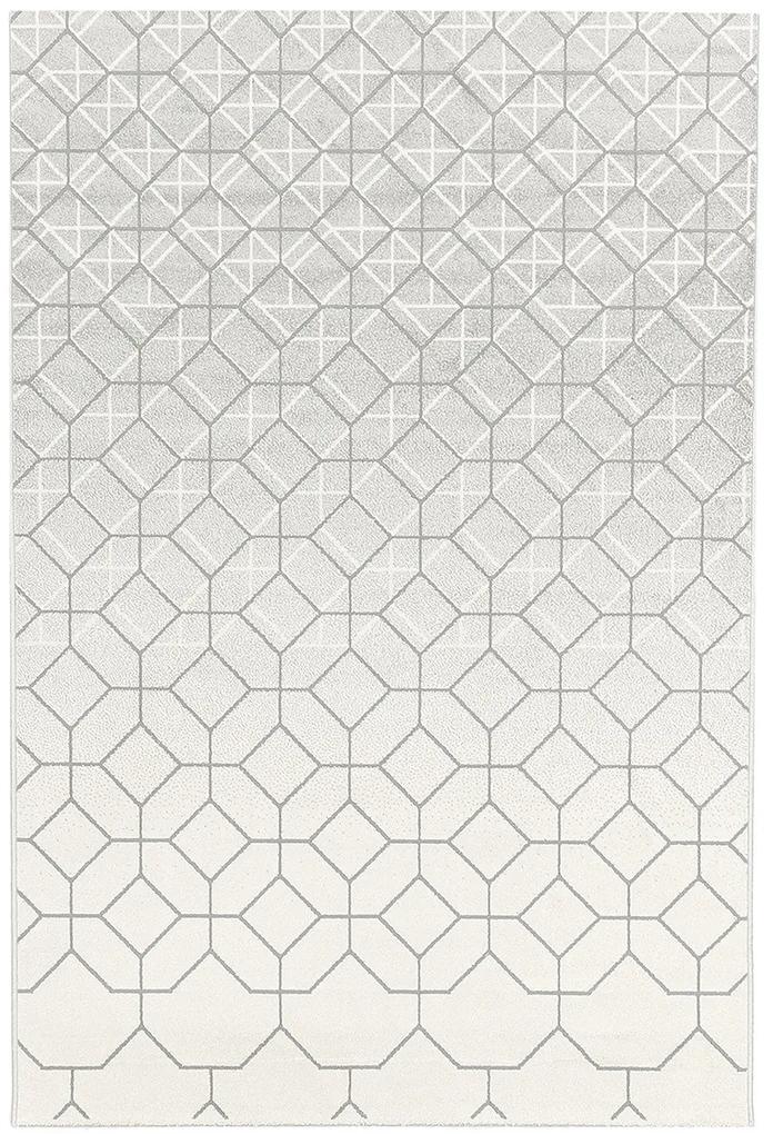 Koberce Breno Kusový koberec TERRA 07/VGS, viacfarebná,80 x 150 cm