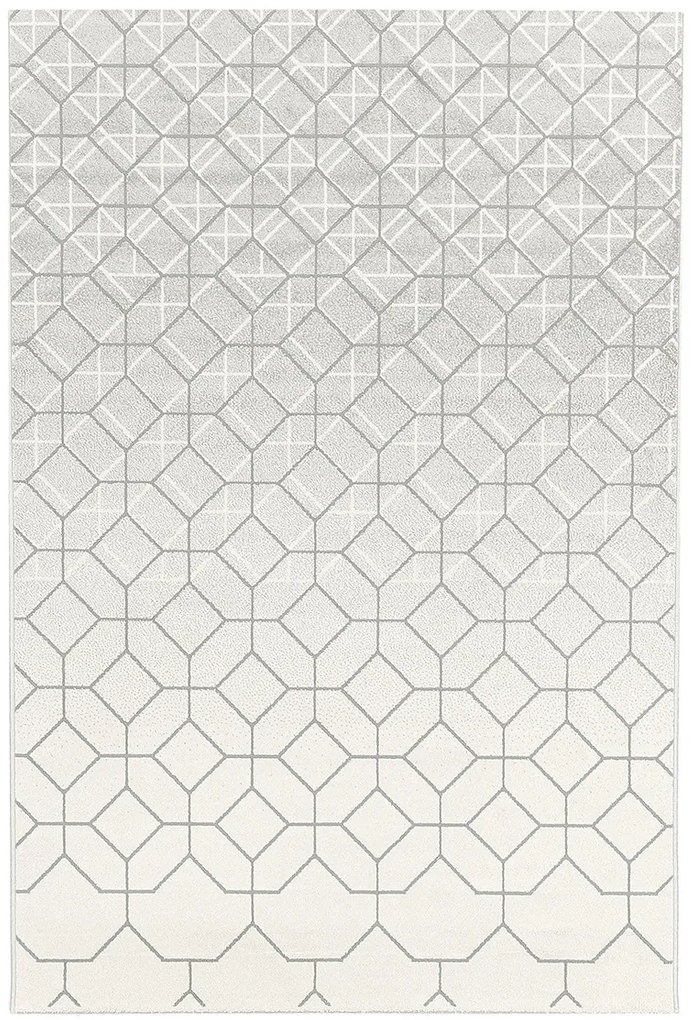 Koberce Breno Kusový koberec TERRA 07/VGS, viacfarebná,80 x 150 cm