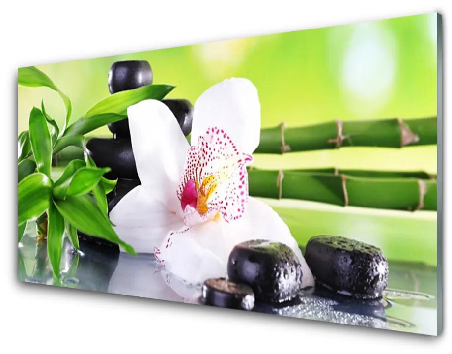 Skleneny obraz Orchidea kamene zen bambus 120x60 cm