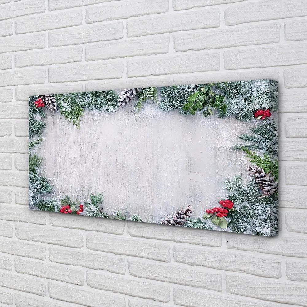 Obraz na plátne Snehové šišky, vetvičky 140x70 cm