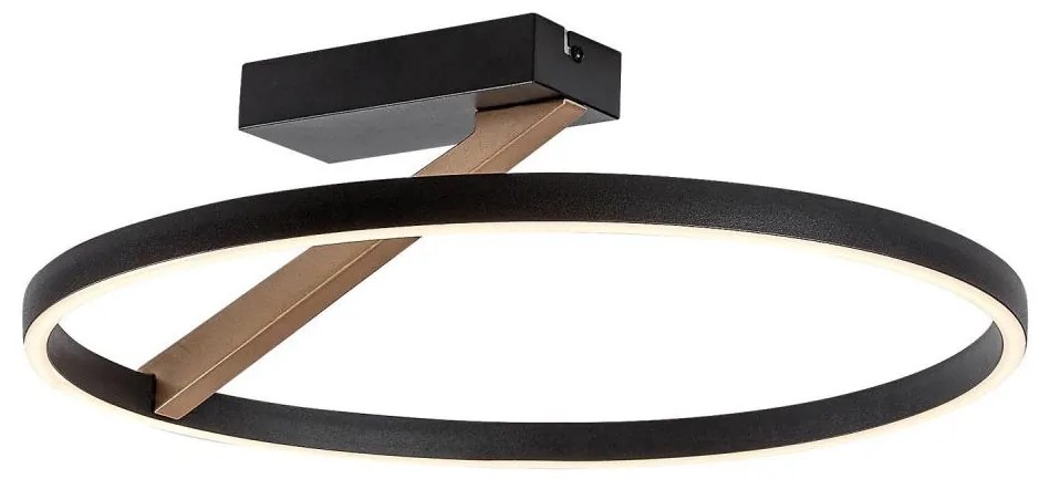 Rabalux 71351 - LED stropné svietidlo RENARA LED/24W/230V 3000K priemer 45 cm