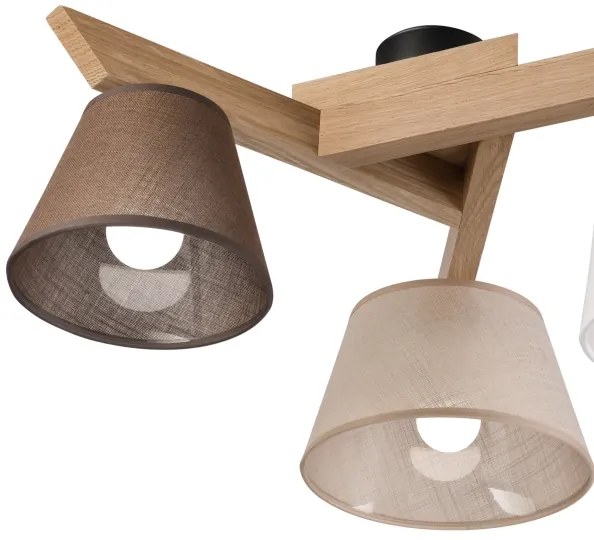 Brilagi - LED  Prisadený luster ANTHONY 3xE14/40W/230V dub