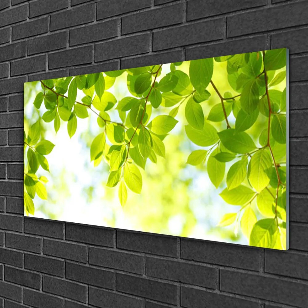 Obraz na skle Listy príroda rastlina 120x60 cm