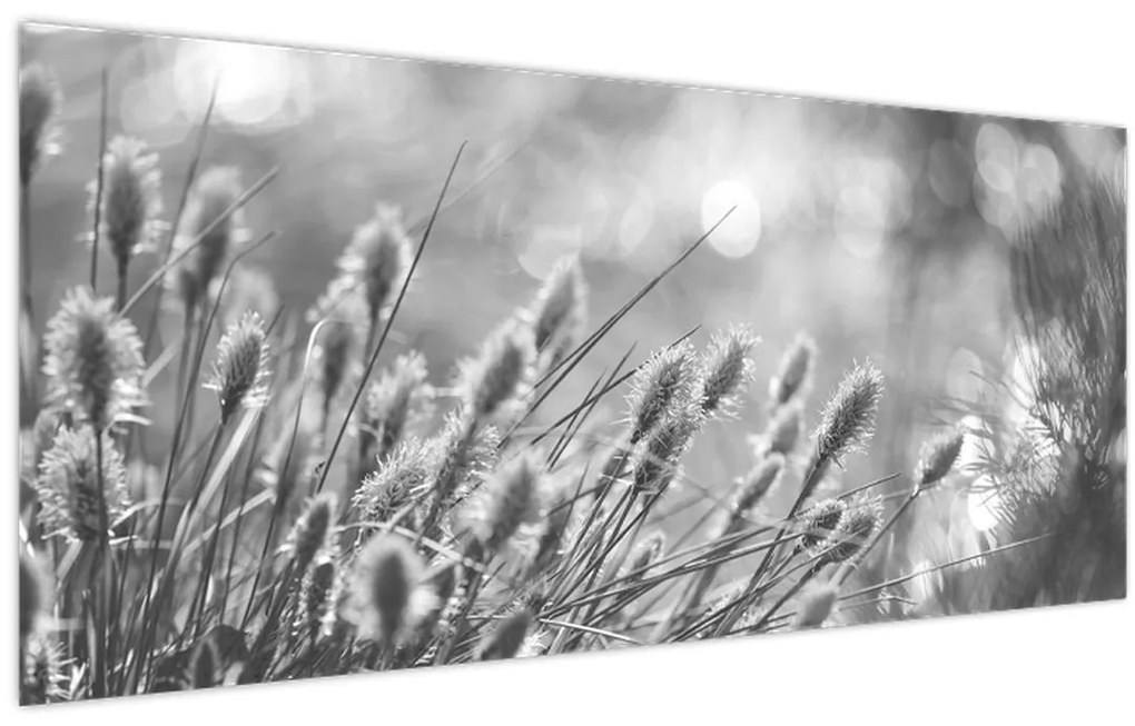 Obraz - Béžová soft grass N⁰1 (120x50 cm)