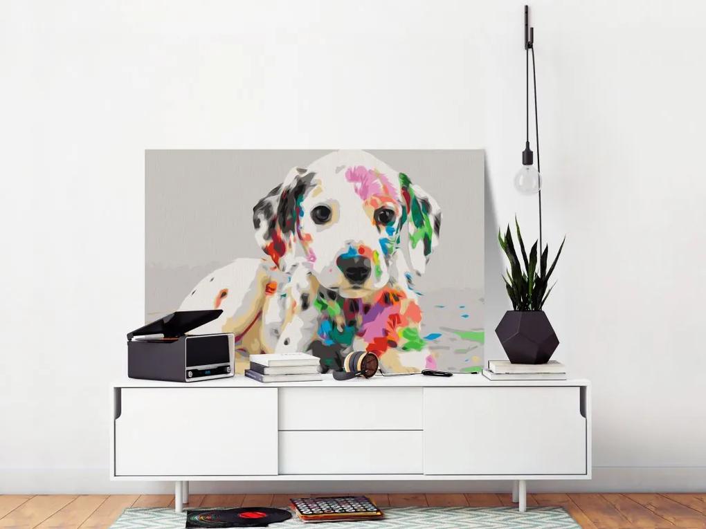Obraz - maľovaný podľa čísel Colourful Puppy
