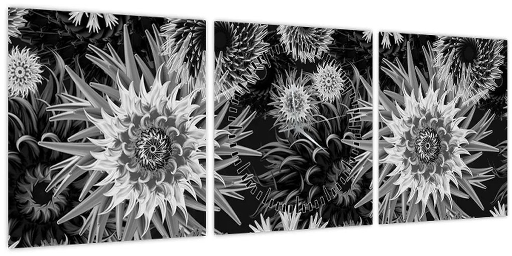 Obraz - Čiernobiele bodliaky (s hodinami) (90x30 cm)