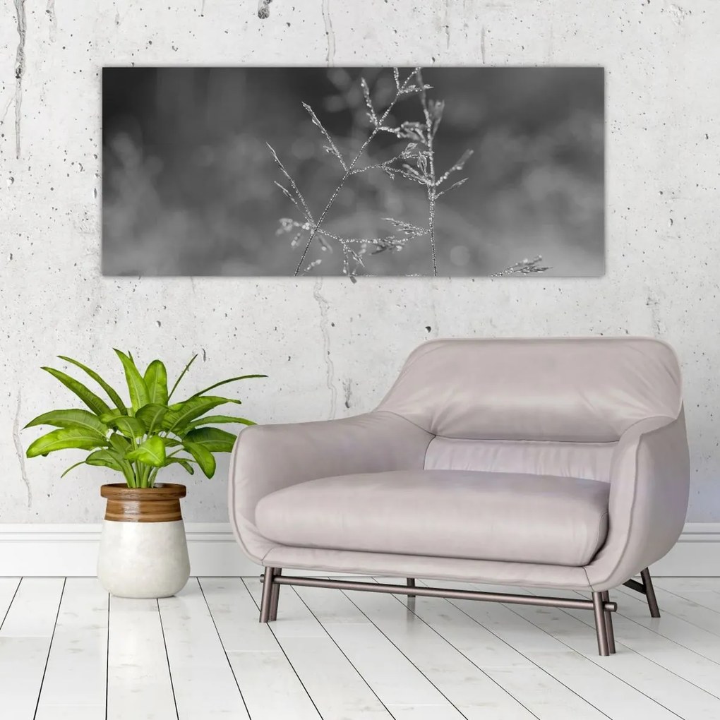 Obraz - Vidiecka lúka (120x50 cm)
