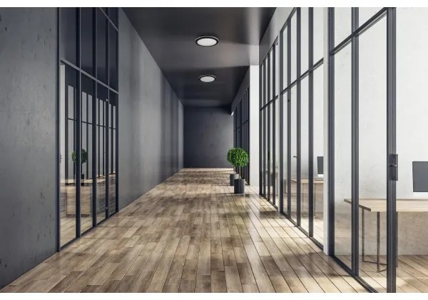 Kanlux 38383 - LED Vonkajšie svietidlo BENO ECO LED/20W/230V 3000/4000/6500K IP65