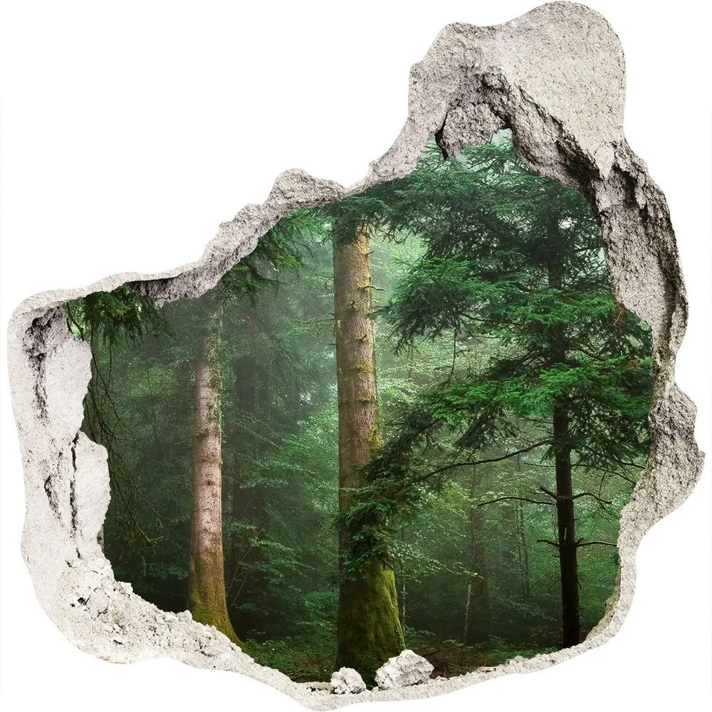 Diera 3D fototapety na stenu Hmla v lese nd-p-95330664