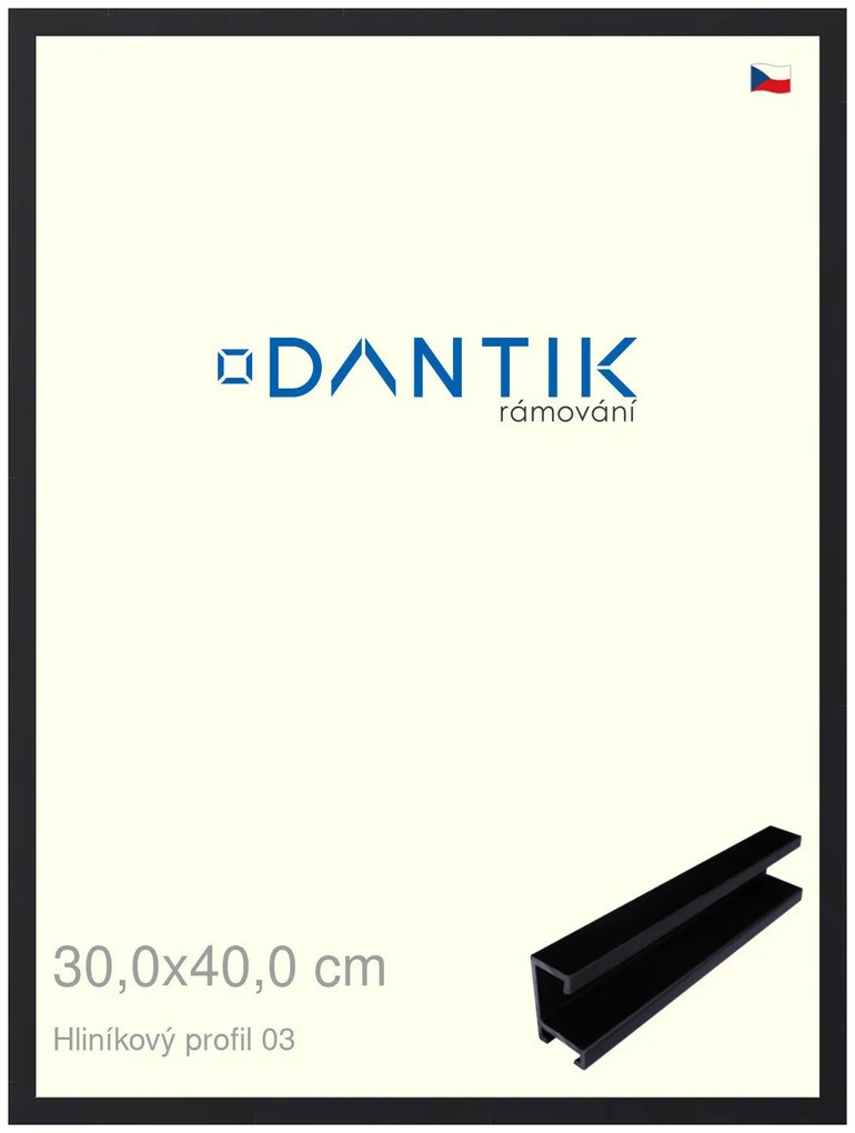 DANTIK rám na obraz 30x40 | ALU Černá matná (Plexi Čiré)