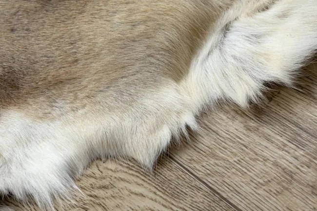 Koberec RENIFER POK016 hnedý / béžový