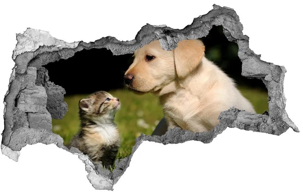 Diera 3D fototapeta nálepka Pes a mačka na lúke nd-b-38411802