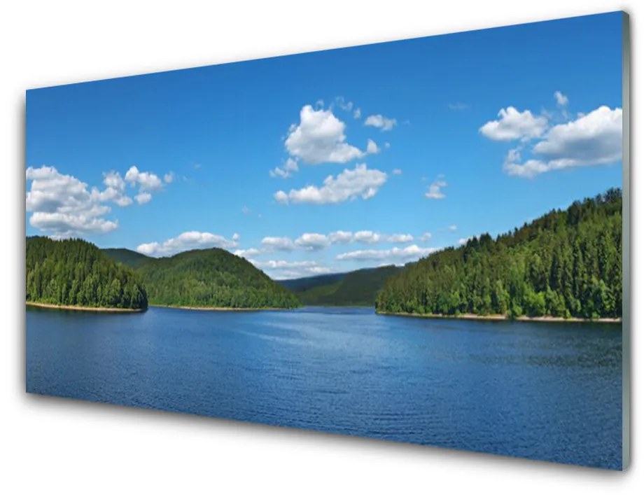Obraz plexi Jazero les príroda 125x50 cm