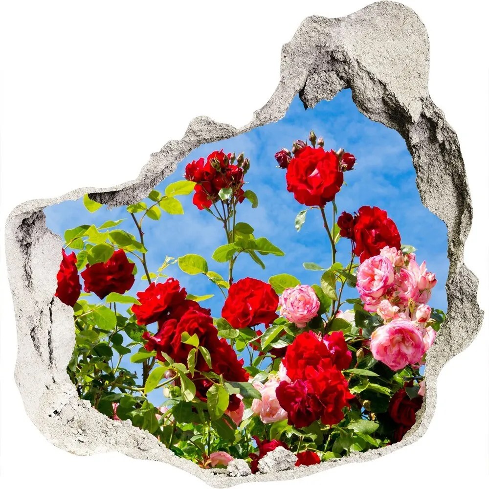 Diera 3D fototapety na stenu nálepka Divoká ruža nd-p-104021490