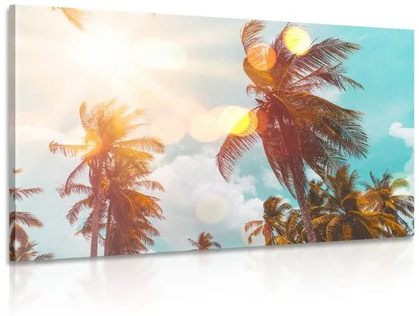 Obraz lúče slnka medzi palmami Varianta: 120x80