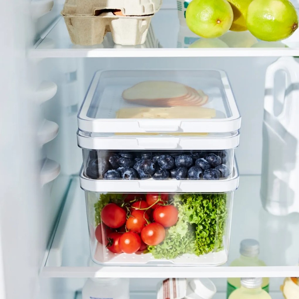 Rotho Organizér do chladničky s vekom a špeciálnou podložkou 2,6 l CAUMA