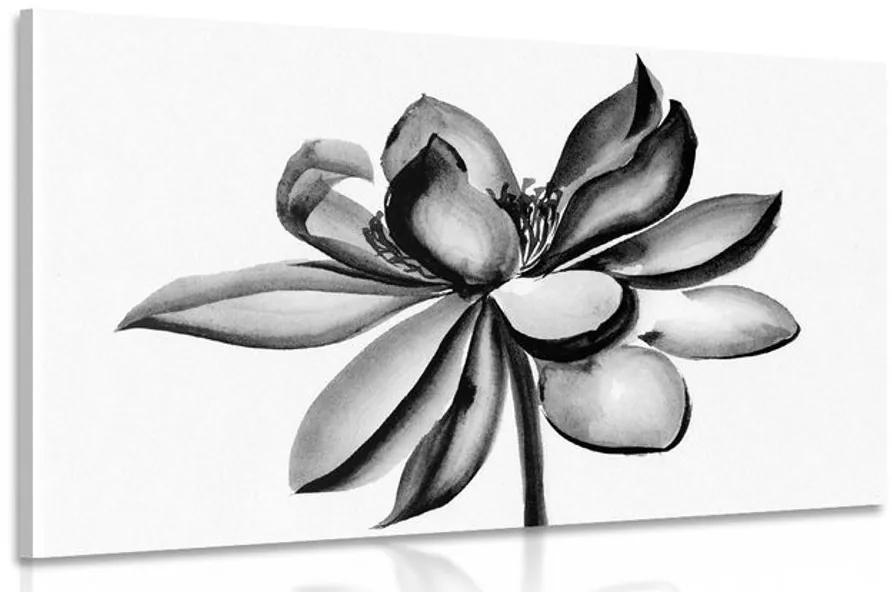Obraz akvarelový lotosový kvet v čiernobielom prevedení Varianta: 90x60