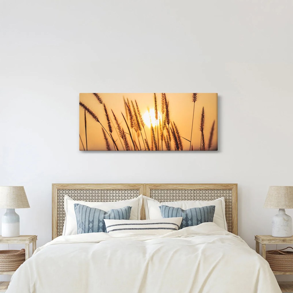 Obraz - Traviny na slnku (120x50 cm)