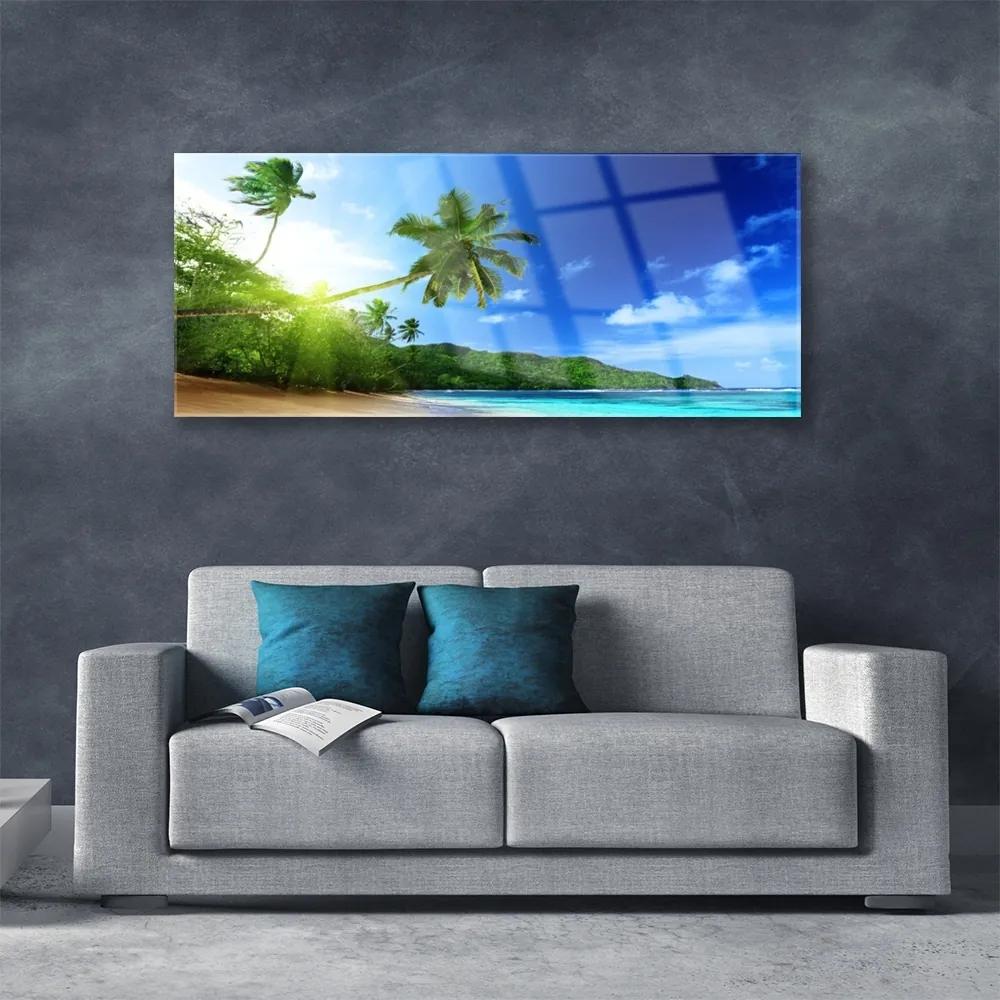 Obraz plexi Pláž more palma krajina 125x50 cm