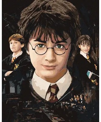 Maľovanie podľa čísel na ráme Harry, Ron, Hermiona