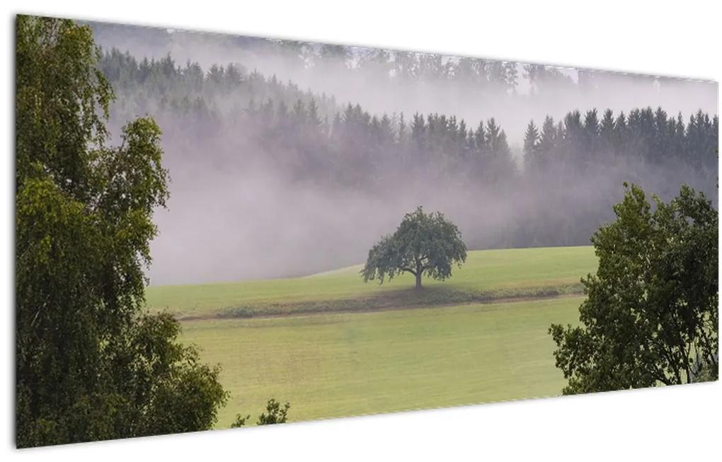 Obraz lúky so stromom (120x50 cm)