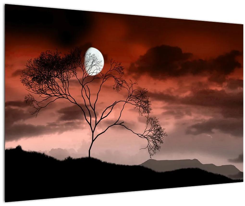 Obraz - Mesiac osvetľujúce noc (90x60 cm)