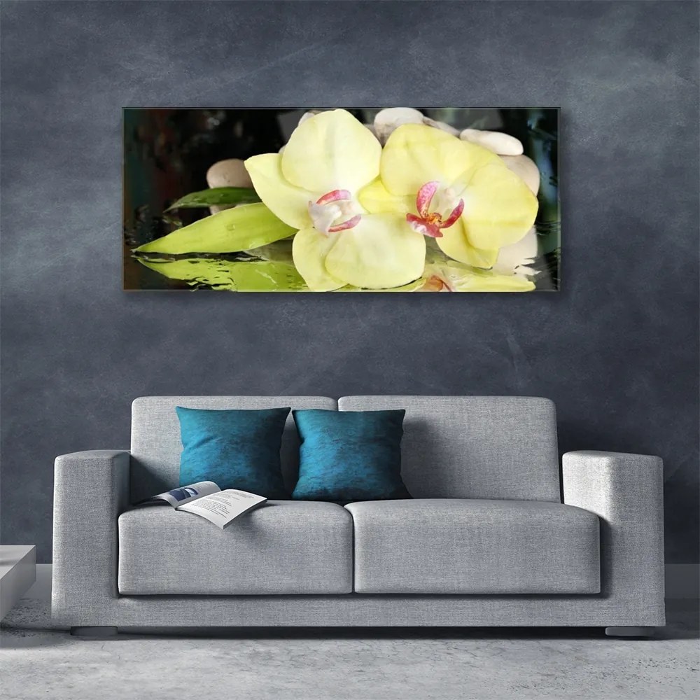 Obraz plexi Okvetné plátky orchidea 125x50 cm