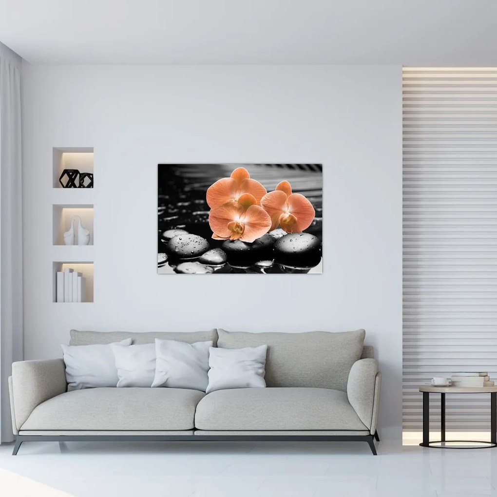 Obraz - Oranžové orchidey (90x60 cm)